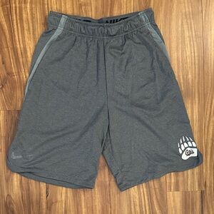 Griz Nike Dri-Fit Athletic Shorts